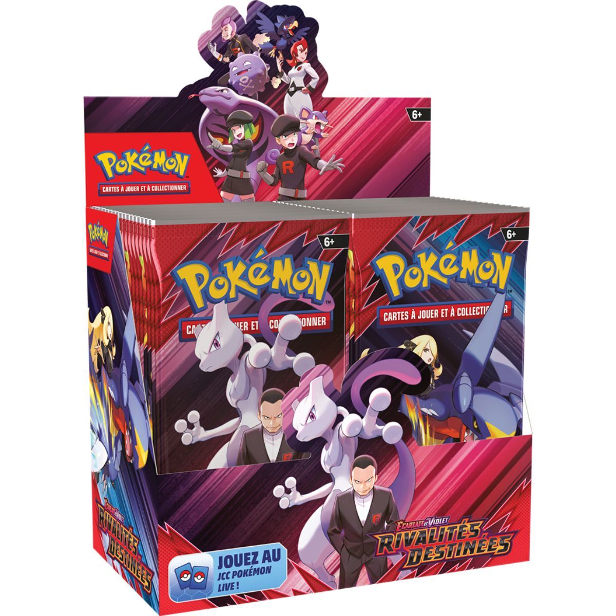 Display Rivalités Destinées EV10 Pokémon FR