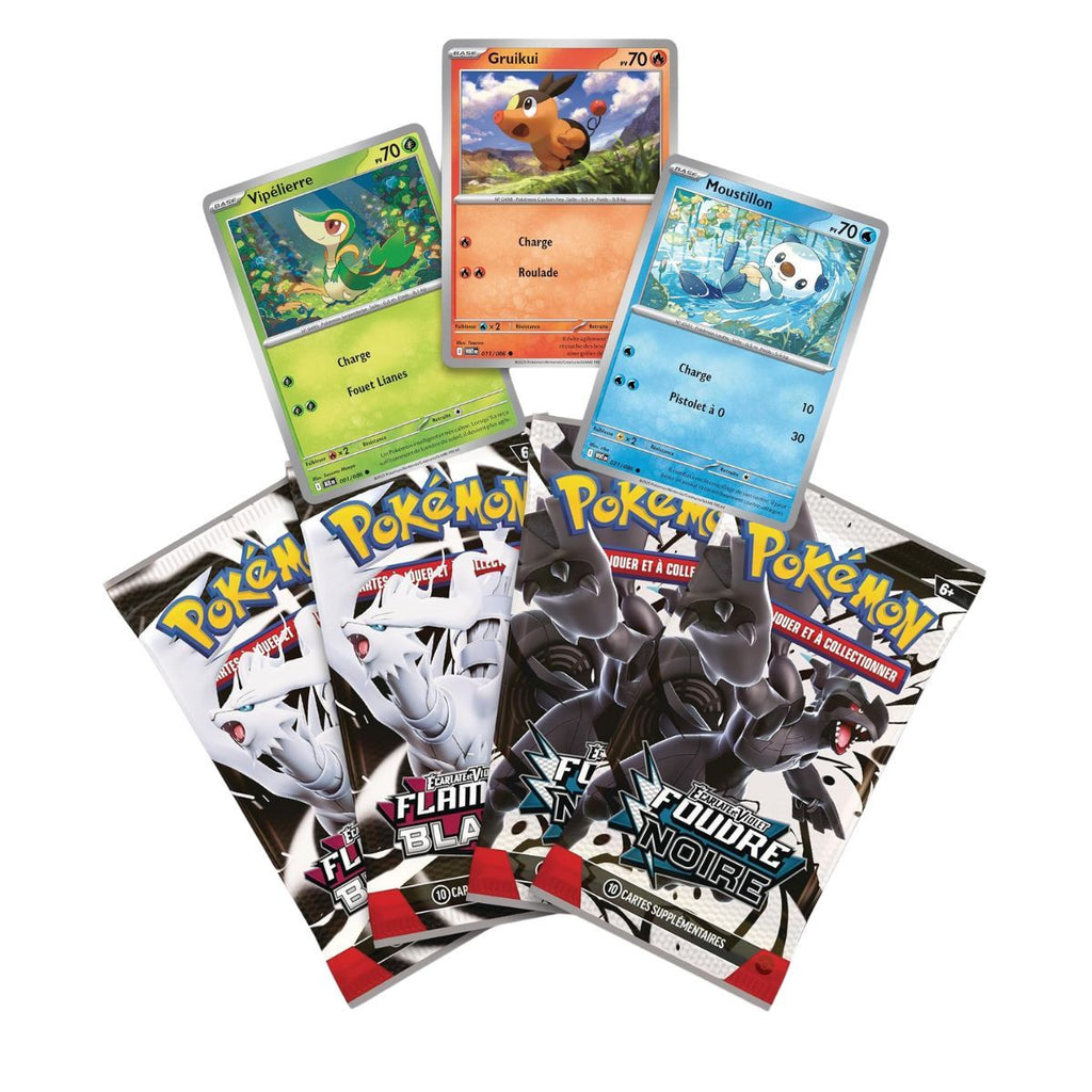 Coffret Collection Poster visuel 2