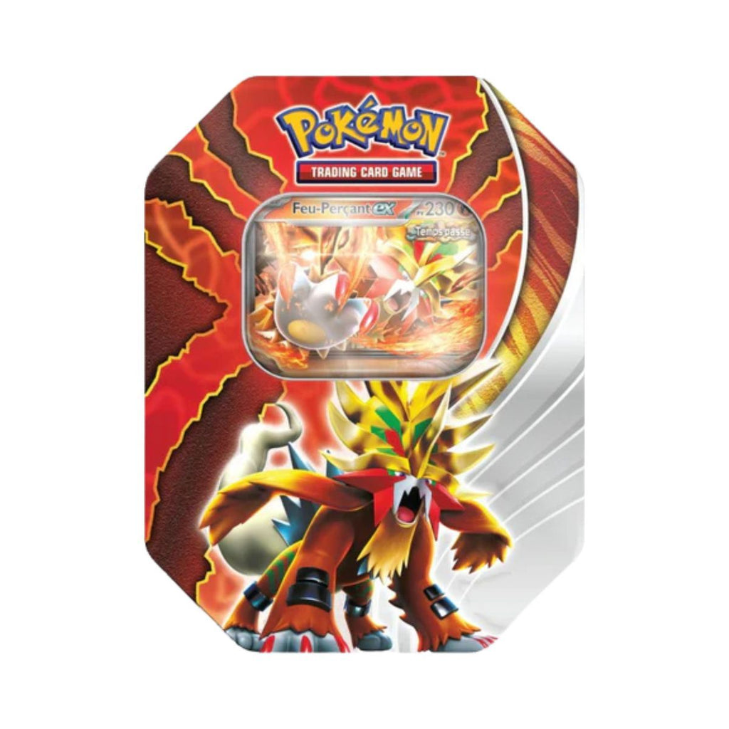 Pokébox Destinée Paradoxe visuel 4